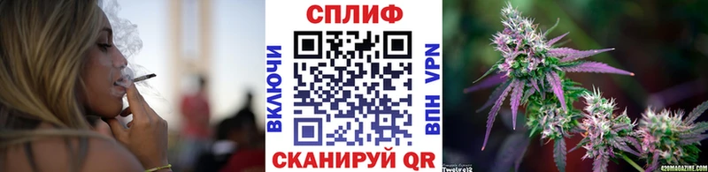 наркотики Боровичи darknet формула Бошки марихуана THC 21% мега ONION